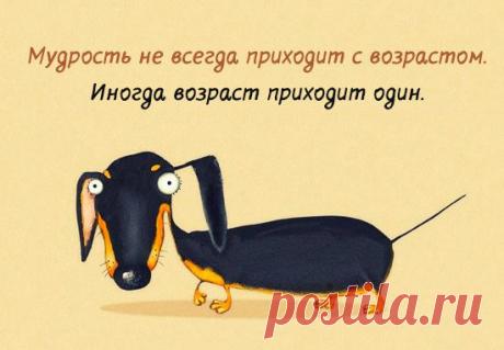 Открытки с интересными мыслями – Фитнес для мозга