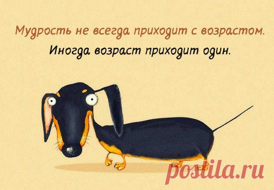 Открытки с интересными мыслями – Фитнес для мозга