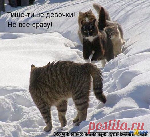 )ł(υʒήь υґթά ήε πթσυґթάմ ćεδя
Россия, От А(да) до (ра)Я