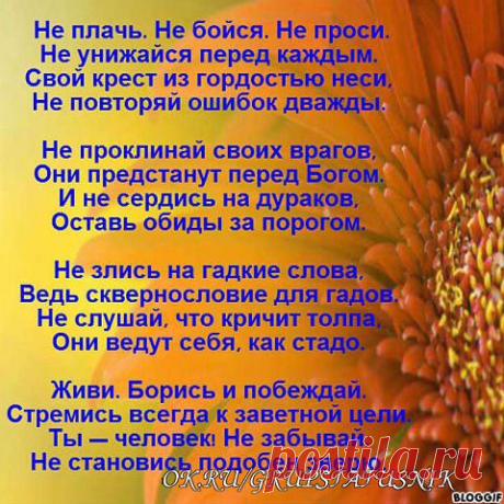 Александра Александровна)))
Беларусь, Полоцк.