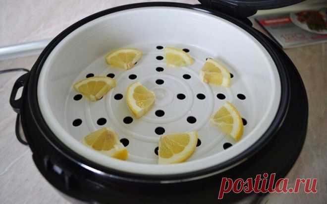 Мультиварка — чудо-агрегат для экономии времени: инструкция по применению - Образованная Сова