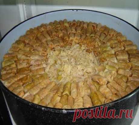 10 самых вкусных рецептов голубцов - обязательно сохраните!