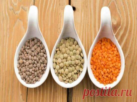 Чечевица
 
В скромных на вид семенах чечевицы больше белка, чем в мясе, – почти четверть всего состава! Причем по своим свойствам этот белок более «качественный», чем в других растениях: в нем можно найти все аминокислоты, необходимые организму для роста, восстановления и обновления клеток и тканей, производства ферментов, гормонов, защитных компонентов. По содержанию аминокислот чечевица не знает себе равных даже среди бобовых; единственная культура, которая может с ней в этом состязаться, – со