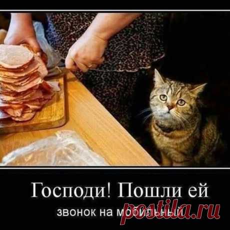 Классные анекдоты и шуточки, которые подарят замечательное настроение! – Нескучно