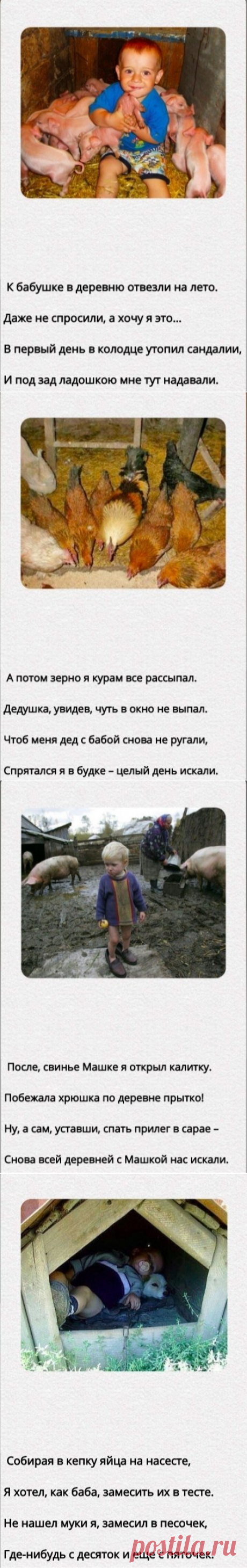 "К бабушке в деревню отвезли на лето..."