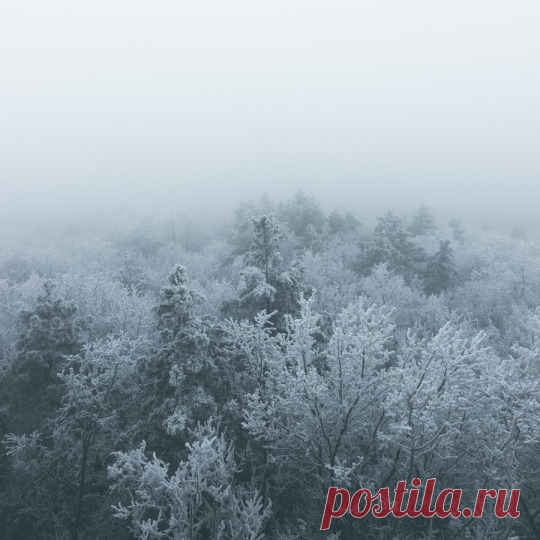 (4) Tumblr