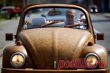 Новости и интересные факты планеты