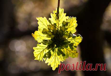 The Nature's Colors | EggHeads