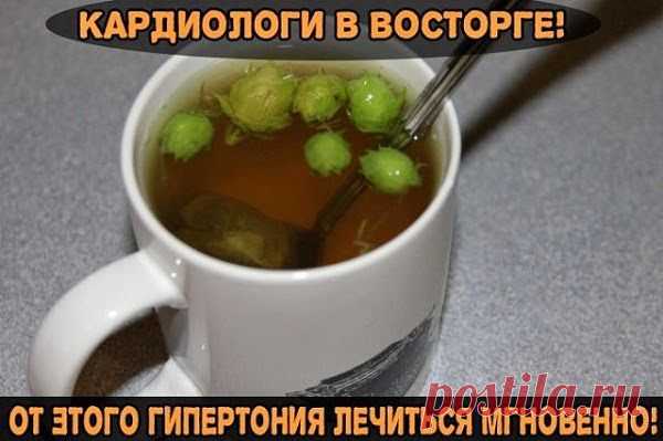 Ваш личный врач.: Семечки... от гипертонии