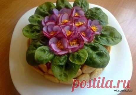 Салат &quot;ФИАЛКИ&quot;