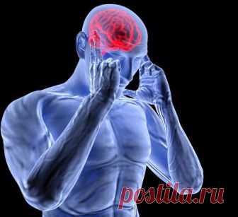 5 привычек, которые восстанавливают клетки мозга Экология здоровья. Мозг обладает способностью к регенерации, он может вновь создавать нервные ткани и мостики-связи между ними. Нейропластичность можно повысить, следуя здоровым привычкам.