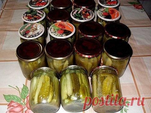 Интересные новости