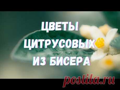 Маленькие цветочки цитрусовых из бисера. Бисероплетение. Мастер-класс.