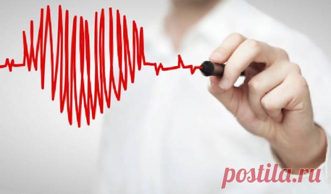 Новости кардиологии - Ветконсульт