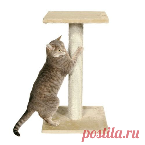 Когтеточка для кошки своими руками. Мастер-класс. - Кошка в доме
