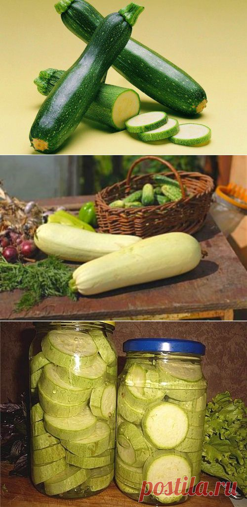 Рецепты маринования и засолки кабачков на зиму / Простые рецепты