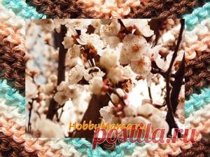 Вязание спицами. Ажурный узор зигзаг Миссони. Схема | HobbyMama