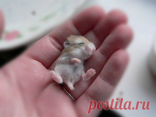 Фотографии на стене сообщества | 8 793 фотографии