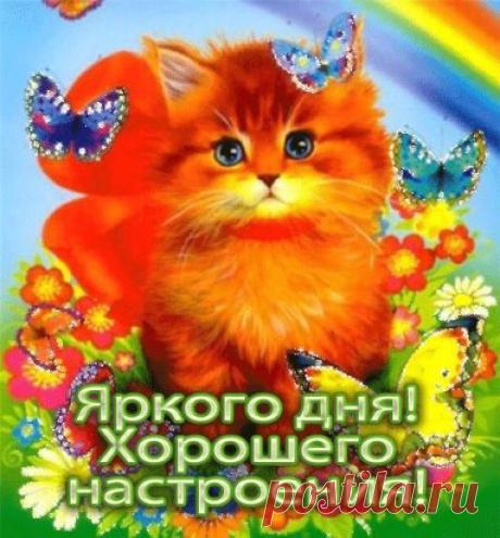 (99+) Одноклассники
