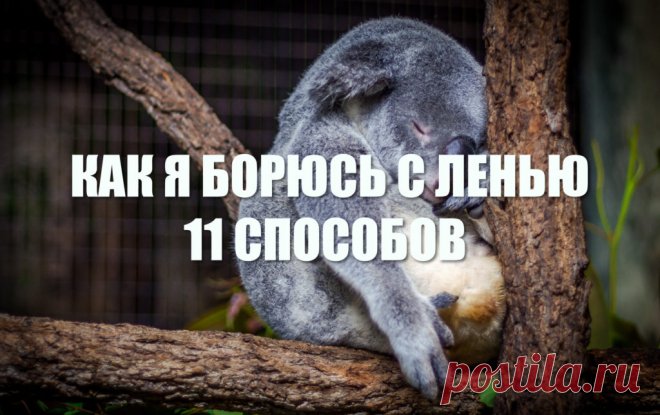как я борюсь с ленью