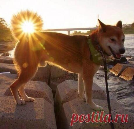 Лилия Советкина | ВКонтакте