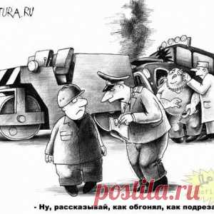 На асфальте лежала полуживая собака, скрывая под животом самое ценное сокровище - МирТесен