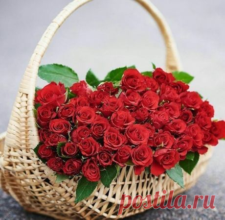 (41) Pinterest