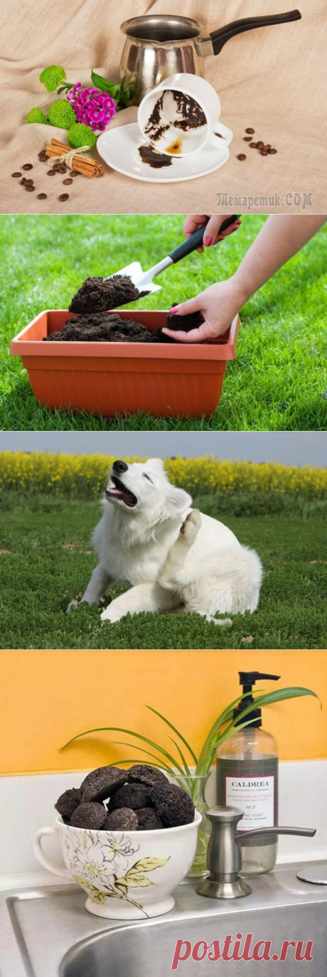 20 применений кофейной гущи, о которых вы не знали