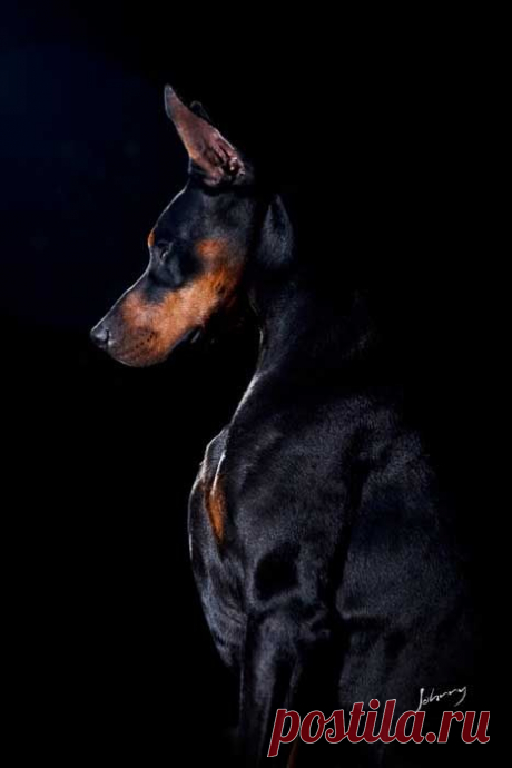 (162) Pinterest