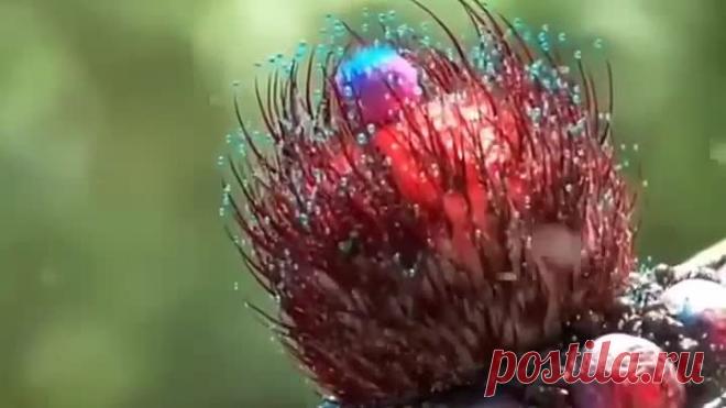 VID_20230711_143148_500.mp4