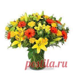 Светлана Болотова