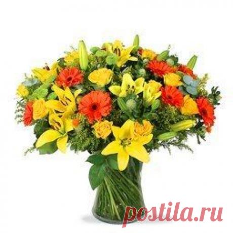 Светлана Болотова