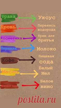 ВЫВЕДЕНИЕ ПЯТЕН