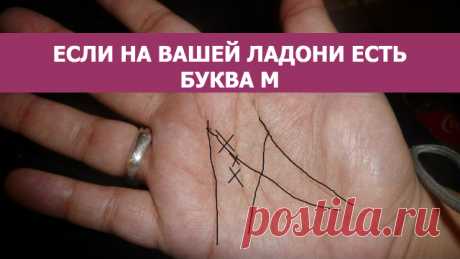 Подожгите лавровый лист в своем доме. Зачем? Вы будете приятно удивлены! - МирТесен