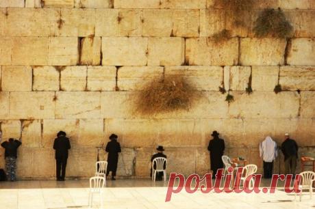 12 самых интересных веб-камер года