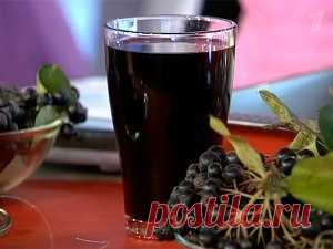 Черноплодная рябина: польза и вред