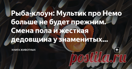 Рыба-клоун: Мультик про Немо больше не будет прежним. Смена пола и жесткая дедовщина у знаменитых рыбок «Я знаю, это Немо! Это точно Немо! Обычная рыба-клоун, что удивительного-то?» — фраза, которая заставит поморщиться начинающего работника океанариума, и не вызовет никаких эмоций у его более опытных коллег. Они уже привыкли. И нет моральных сил рассказывать обо всех малоизвестных фактах из жизни рыбы-клоуна. Что ж, зато эти силы есть у нас, и сейчас мы вас просветим. Нач...