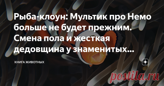 Рыба-клоун: Мультик про Немо больше не будет прежним. Смена пола и жесткая дедовщина у знаменитых рыбок «Я знаю, это Немо! Это точно Немо! Обычная рыба-клоун, что удивительного-то?» — фраза, которая заставит поморщиться начинающего работника океанариума, и не вызовет никаких эмоций у его более опытных коллег. Они уже привыкли. И нет моральных сил рассказывать обо всех малоизвестных фактах из жизни рыбы-клоуна. Что ж, зато эти силы есть у нас, и сейчас мы вас просветим. Нач...