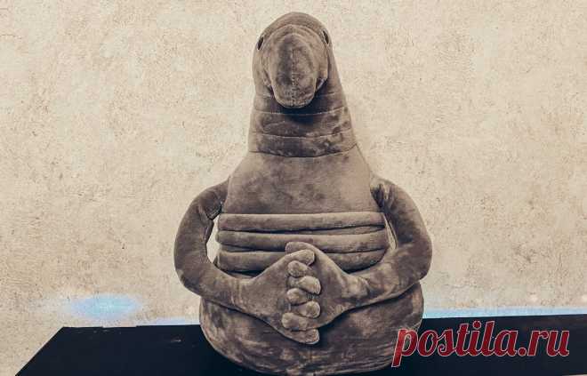 Играем в игрушки. Изучаю и делюсь как дарить игрушки двойне | Жизнь Вупсеня и Пупсеня | Яндекс Дзен