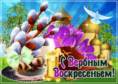С Вербным воскресением,
С праздником весенним!
Счастья, радости, добра!
Пусть Господь хранит всегда!