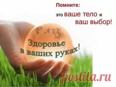 Новый маркетинговый план VISION