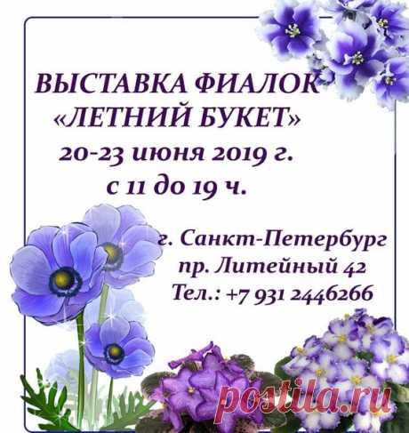 Выставка цветущих фиалок – «ЛЕТНИЙ БУКЕТ» в «Санкт-Петербургском Обществе «Знание» ⏰ 20-23 июня 2019 г. с 11 до 19 ч. 📅 Программа выставки: 22 июня 2019 г. 13.00 ч. - Лекция &quot;Лето без потерь!&quot; (речь пойдет об опасностях для фиалок и стрептокарпусов в жаркое время года, влиянии влажности и температуры на жизнедеятельность растений, болезнях и вредителях, о том, как сохранить цветы во время отпуска и пр.) Грачева Т.А. 23 июня 2019 г. 13.00 ч. – Лекция &quot;Способы диагностирования и…