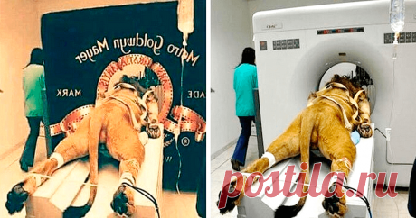 27 знаменитых фото, которые оказались обычным фотошопом - Все самое интересное! С появлением графических редакторов каждый может почувствовать себя волшебником, меняющим реальность на...