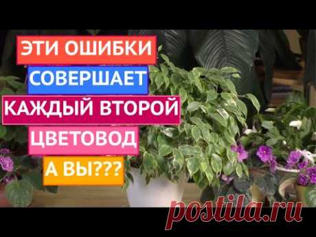 ОСНОВНЫЕ ОШИБКИ КОМНАТНОГО ЦВЕТОВОДСТВА!!!