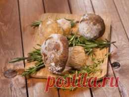 Полезные советы: как заморозить и засушить грибы - Продукты и напитки - Кухня - Аргументы и Факты