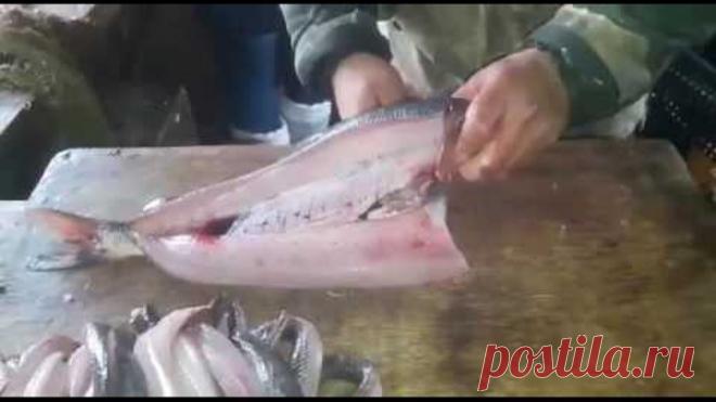 Рыбалка в Якутии  Юкола.ТАК её готовят наши братья на участке ,где и ловят рыбу.