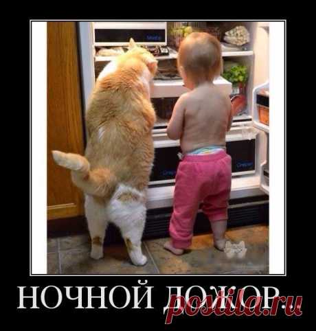 Без приглашения на мой день рождения приходят только немногие избранные: сначала настоящие друзья, потом возмущённые соседи, потом - усталый наряд милиции