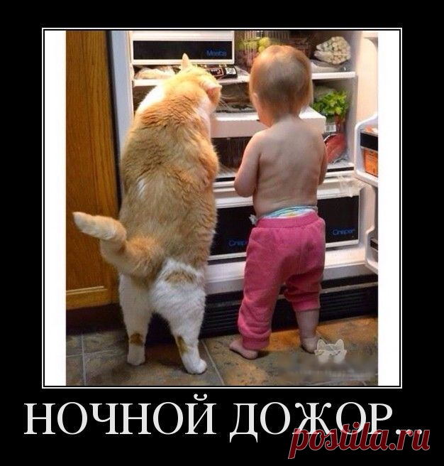 Без приглашения на мой день рождения приходят только немногие избранные: сначала настоящие друзья, потом возмущённые соседи, потом - усталый наряд милиции