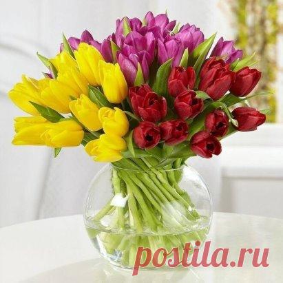 Еще два воскресенья - и ВЕСНА!