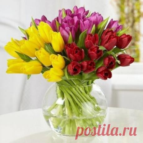 Еще два воскресенья - и ВЕСНА!